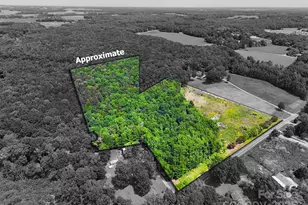 475 McManus Rd, Pageland, SC 29728 - Photo 1