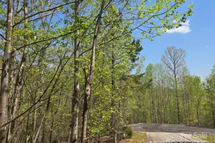 Lot 11 Back Hollow Dr, Lake Lure, NC 28746 - Photo 1