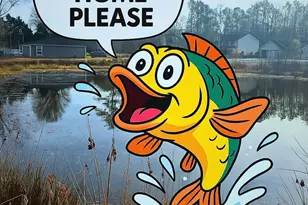 503 Eddleman Rd, Kannapolis, NC 28083 - Photo 1