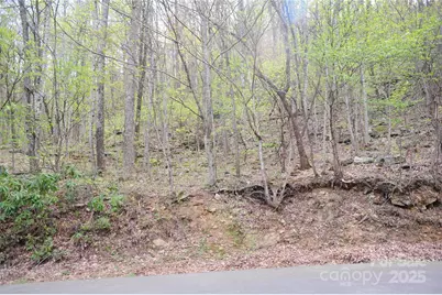 36 Great Aspen Way #312, Black Mountain, NC 28711 - Photo 1