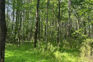 41010 Nc Hwy 740 Hwy, New London, NC 28127 - Photo 1