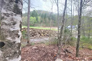 120 Tumbling Falls Dr, Canton, NC 28716 - Photo 1