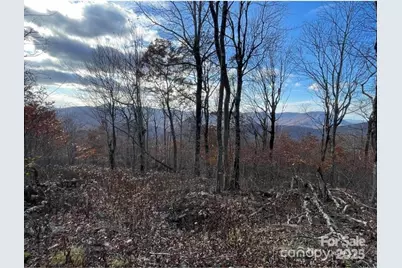 Lot 16 Crown Point Road #16, West Jefferson, NC 28695 - Photo 1