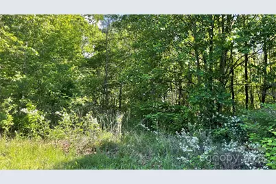 99999 Bachelder Lane, Candler, NC 28715 - Photo 1