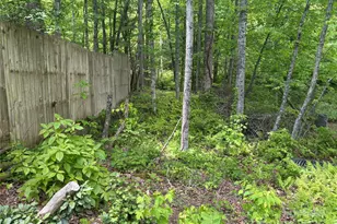 000 Songbird Trail, Waynesville, NC 28785 - Photo 1