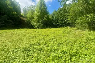 321 Mount Kys Dr, Bryson City, NC 28713 - Photo 1