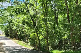 9064 Tulagi Ct, Fort Mill, SC 29708 - Photo 1