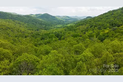 Tbd Cove Gap Road #multiple lots, Moravian Falls, NC 28654 - Photo 1