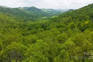 Tbd Cove Gap Rd, Moravian Falls, NC 28654 - Photo 1