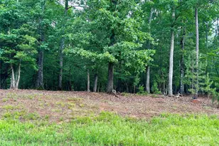 170 Water Oak Way, Mount Gilead, NC 27306 - Photo 1