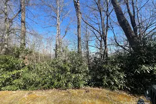 0000 Reserve Rd, Pisgah Forest, NC 28768 - Photo 1