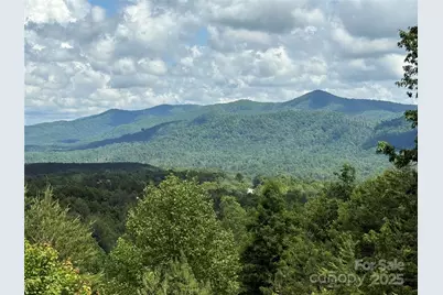 113 Valley View Trail #323, Nebo, NC 28761 - Photo 1