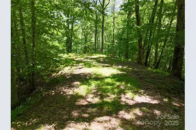 0 Elkhorn Ridge Drive #46, Franklin, NC 28734 - Photo 1