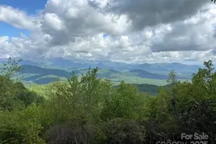 99999 Cliffledge Trail, Black Mountain, NC 28711 - Photo 1