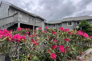 367 Skyleaf Dr, Sugar Mountain, NC 28604 - Photo 1