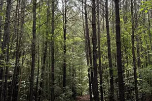 325 Kennedy Rd, Eagle Springs, NC 27242 - Photo 1