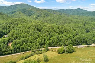 63 Chestnut Hill Rd, Black Mountain, NC 28711 - Photo 1