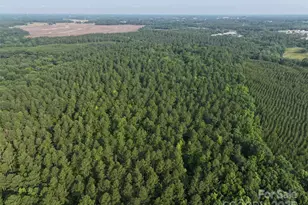 Tbd US 74 Hwy, Peachland, NC 28133 - Photo 1