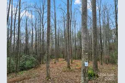 Lot 80 Mountain Grove Lane #Lot 80, Fletcher, NC 28732 - Photo 1