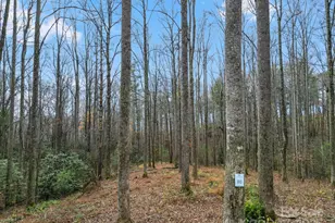 Lot 80 Mountain Grove Ln, Fletcher, NC 28732 - Photo 1