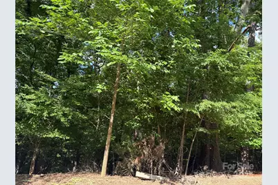 10045 Tepa Place, Tega Cay, SC 29708 - Photo 1