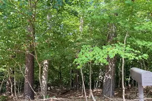 10046 Tepa Pl, Tega Cay, SC 29708 - Photo 1