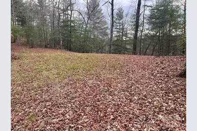 2035 Lower Tuskeegee Road, Robbinsville, NC 28771 - Photo 1