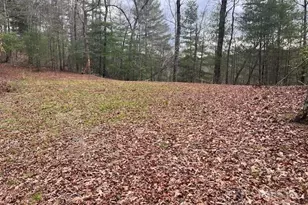 2035 Lower Tuskeegee Rd, Robbinsville, NC 28771 - Photo 1