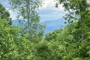 Lot 53 Mountain Air Dr, Burnsville, NC 28714 - Photo 1