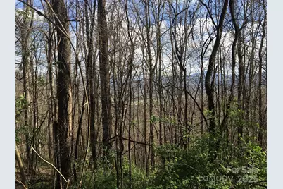 0 Kitty Lane, Waynesville, NC 28785 - Photo 1