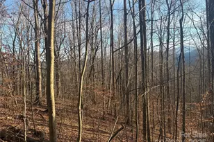 Tbd Upward Way, Waynesville, NC 28785 - Photo 1