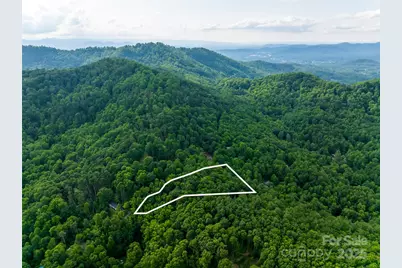 9999 White Oak Gap Road, Asheville, NC 28803 - Photo 1