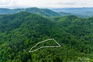 9999 White Oak Gap Rd, Asheville, NC 28803 - Photo 1