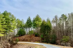3 16 Acres Lot 77 1712 Round Mountain Pkwy, Lenoir, NC 28645 - Photo 1