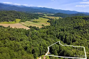 14 Long Branch Rd, Pisgah Forest, NC 28768 - Photo 1