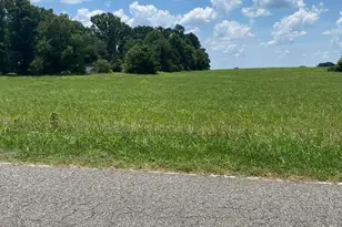 00 Cain Rd, Stony Point, NC 28678 - Photo 1