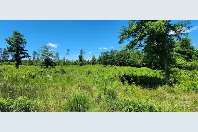 Lot 1 Poors Ford Road #1, Rutherfordton, NC 28139 - Photo 1