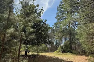 656 Sky Line Dr, Chester, SC 29706 - Photo 1