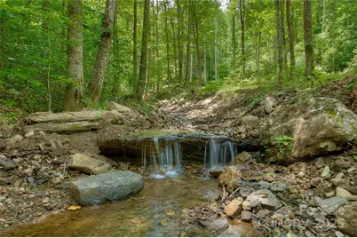 000 Shadowwood Drive, Spruce Pine, NC 28777 - Photo 1