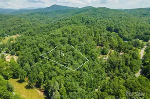 5 Roy Ln, Black Mountain, NC 28711 - Photo 1