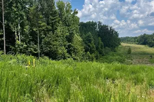 524 N Ingleside Farm Rd, Iron Station, NC 28080 - Photo 1