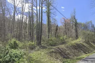 1391 Macktown Rd, Sylva, NC 28779 - Photo 1