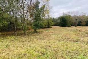 0 Wexford Mill Dr, Wagener, SC 29164 - Photo 1