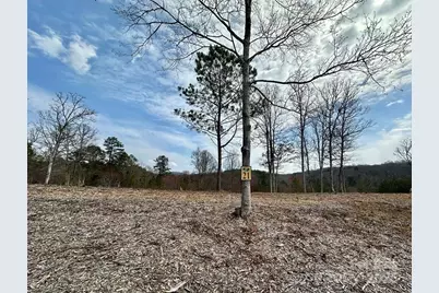 21 Arbor Creek Trail #21, Mineral Bluff, GA 30559 - Photo 1
