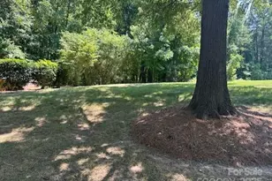 13117 Hamilton Pl Dr, Charlotte, NC 28273 - Photo 1