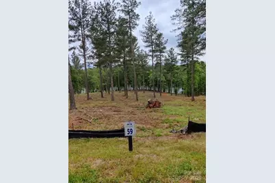 2120 Princeton Mountain None #59, Connelly Springs, NC 28612 - Photo 1