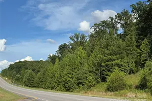 0000 Black Hwy, Smyrna, SC 29743 - Photo 1