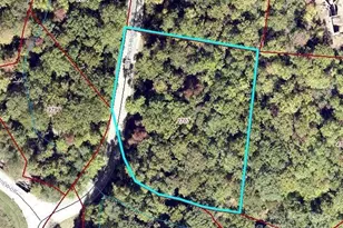 64 Settings Blvd, Black Mountain, NC 28711 - Photo 1