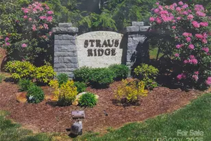 99 Ridgetop Cir, Brevard, NC 28712 - Photo 1