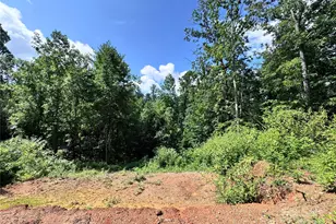 7 Winterhawk Dr, Arden, NC 28704 - Photo 1